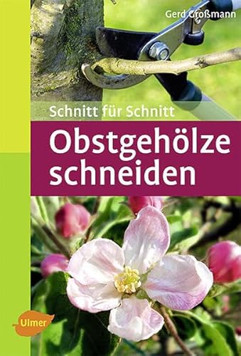 Imagen de archivo de Obstgehlze schneiden -Language: german a la venta por GreatBookPrices