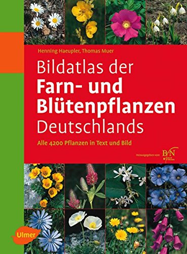 Beispielbild fr Bildatlas der Farn- und Bltenpflanzen Deutschlands: Alle 4200 Pflanzen in Text und Bild zum Verkauf von medimops