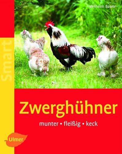 Imagen de archivo de Zwerghhner: Munter - fleiig - keck a la venta por medimops