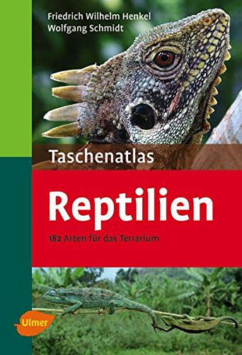 Beispielbild fr Taschenatlas Reptilien: 182 Arten fr das Terrarium zum Verkauf von medimops