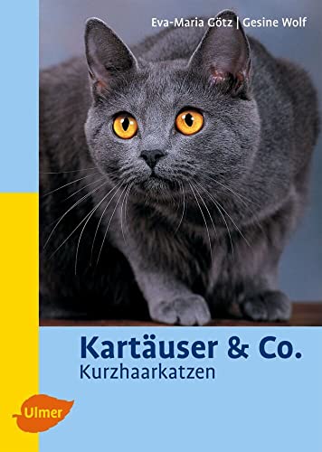 Stock image for Kartuser & Co: Kurzhaarkatzen for sale by medimops