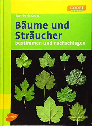 Beispielbild fr Bume und Strucher: Bestimmen und nachschlagen zum Verkauf von medimops