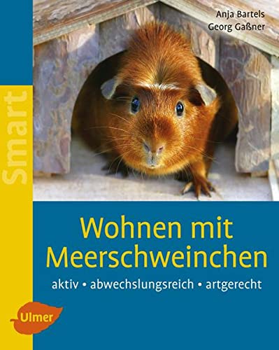 Stock image for Wohnen mit Meerschweinchen: Aktiv - abwechslungsreich - artgerecht for sale by medimops