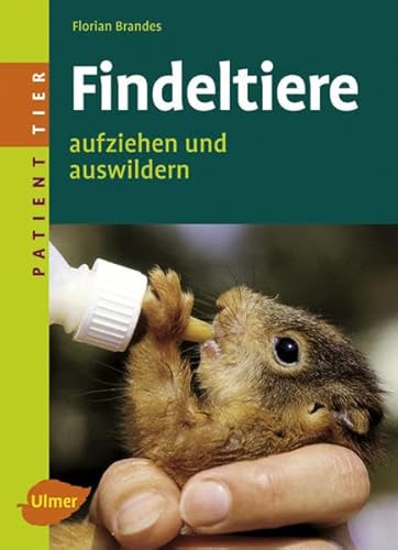 Findeltiere: Aufziehen und auswildern (Patient Tier) - Brandes Florian