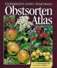 Beispielbild fr Obstsorten-Atlas. Kernobst, Steinobst, Beerenobst, Schalenobst zum Verkauf von medimops