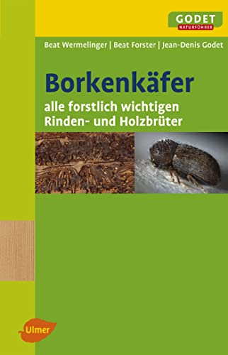 Beispielbild fr Borkenkfer: Alle Forstlich Wichtigen Rinden- Und Holzbrter zum Verkauf von Revaluation Books