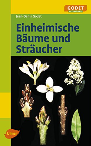 9783800156085: Einheimische Bume und Strucher