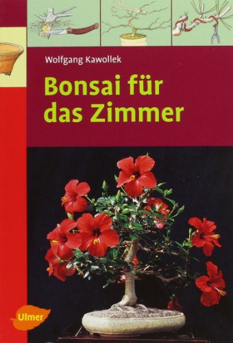 Bonsai für das Zimmer - Kawollek, Wolfgang