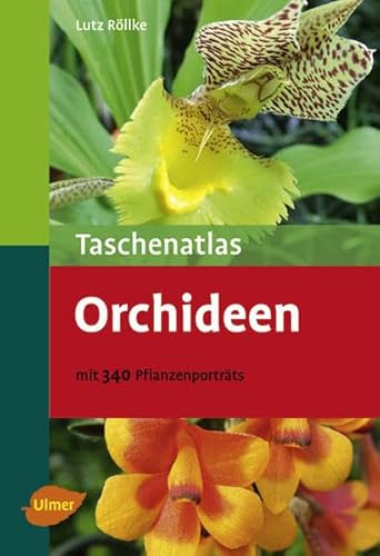 Beispielbild fr Taschenatlas Orchideen - Mit 340 Pflanzenportrts zum Verkauf von medimops