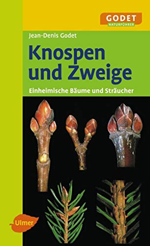 Knospen und Zweige: Einheimische BÃ¤ume und StrÃ¤ucher (9783800157785) by Godet, Jean-Denis