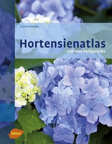 Beispielbild fr Hortensienatlas - Mit 1000 Farbportrts: Portraits D Hydrangas / Portraits of Hydrangeas zum Verkauf von medimops