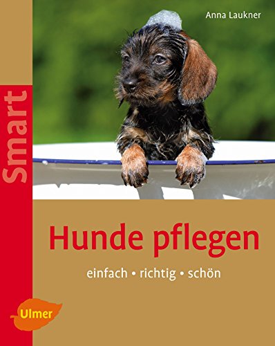 Beispielbild fr Hunde pflegen: Einfach - richtig - schn zum Verkauf von medimops