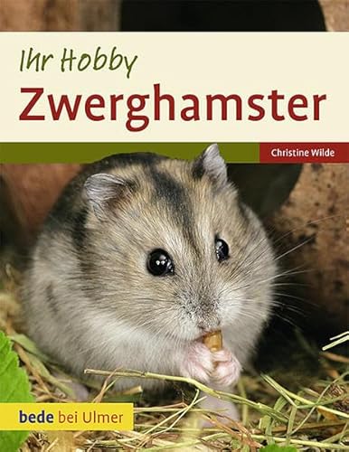 Stock image for Ihr Hobby: Zwerghamster for sale by ralfs-buecherkiste