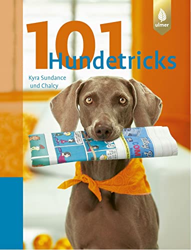 Imagen de archivo de 101 Hundetricks a la venta por medimops