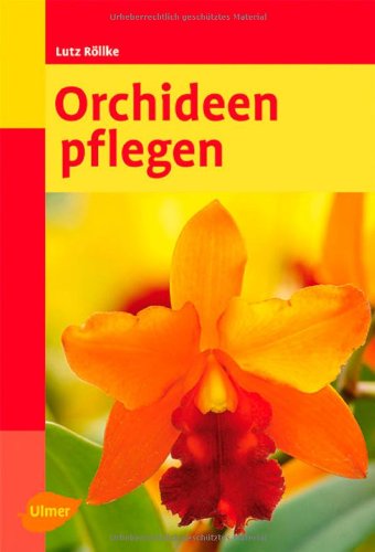 Beispielbild fr Orchideen pflegen zum Verkauf von medimops