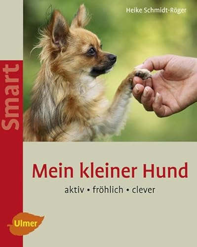 Beispielbild fr Mein kleiner Hund: Aktiv - frhlich - clever zum Verkauf von medimops