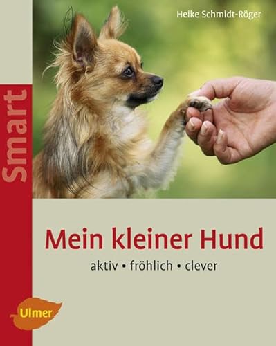 Imagen de archivo de Mein kleiner Hund: Aktiv - frhlich - clever a la venta por medimops