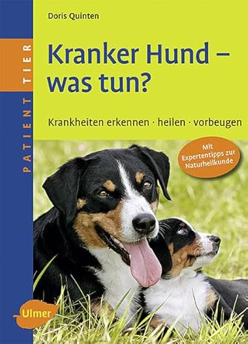 Stock image for Kranker Hund - was tun?: Krankheiten erkennen, heilen, vorbeugen for sale by WorldofBooks