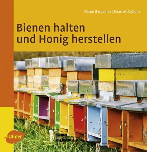 Imagen de archivo de Bienen halten und Honig machen a la venta por medimops