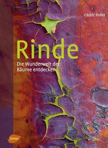 Stock image for Rinde: Die Wunderwelt der Bume entdecken for sale by medimops