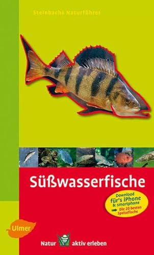 Beispielbild fr Steinbachs Naturfhrer Swasserfische: entdecken und erkennen zum Verkauf von medimops