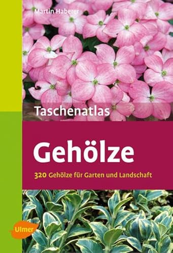 Beispielbild fr Taschenatlas Gehlze zum Verkauf von GreatBookPrices