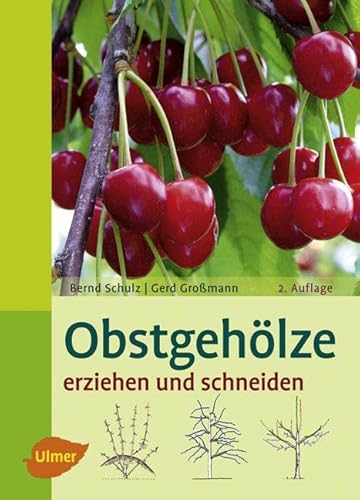 Imagen de archivo de Obstgehlze erziehen und schneiden a la venta por GF Books, Inc.