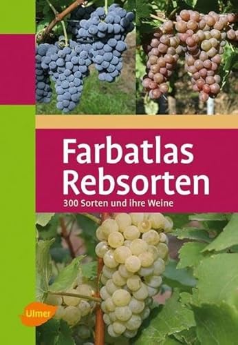 Stock image for Farbatlas Rebsorten for sale by GreatBookPrices