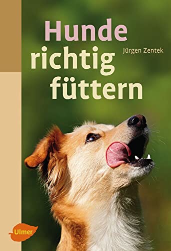 Stock image for Hunde richtig fttern -Language: german for sale by GreatBookPrices