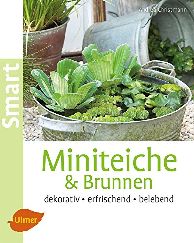 Miniteiche und Brunnen: Dekorativ, erfrischend, belebend - Christmann, Andrea