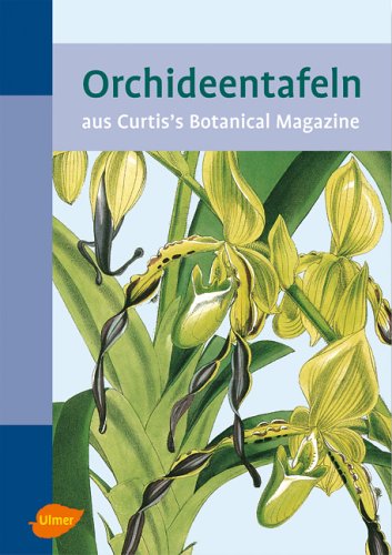 9783800161836: Orchideentafeln. Aus Curti's Botanical Magazine.