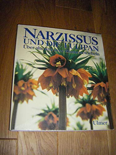 Stock image for Narzissus und die Tulipan. ber alte und neue Blumenzwiebeln for sale by Versandantiquariat Felix Mcke
