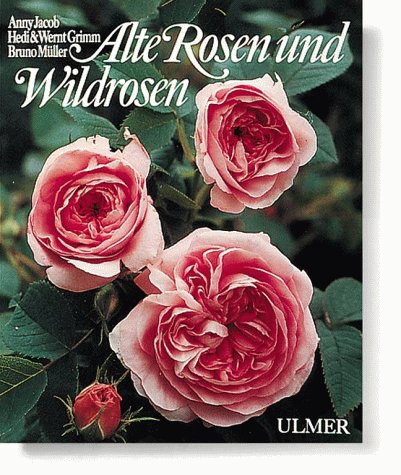 Imagen de archivo de Alte Rosen und Wildrosen. a la venta por Bojara & Bojara-Kellinghaus OHG