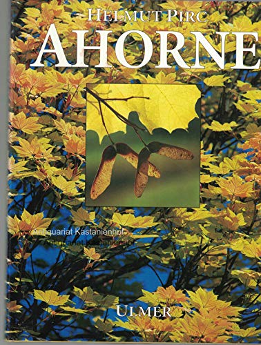 9783800165544: Ahorne