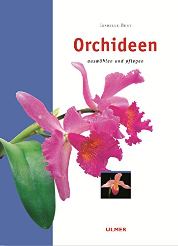 Beispielbild fr Orchideen zum Verkauf von Ammareal