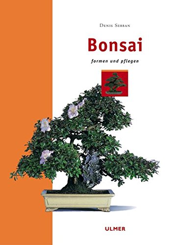 Beispielbild fr Bonsai zum Verkauf von medimops