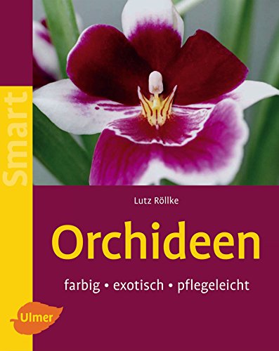 Beispielbild fr Orchideen: Farbig, exotisch, pflegeleicht zum Verkauf von medimops