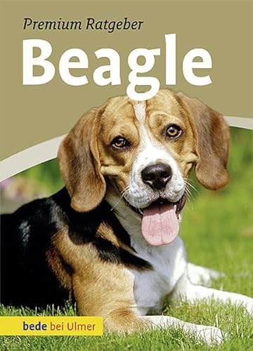 Beispielbild fr Beagle zum Verkauf von medimops