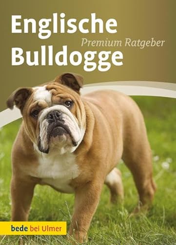 Beispielbild fr Englische Bulldogge zum Verkauf von medimops