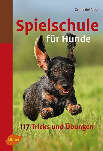 Beispielbild fr Spielschule für Hunde zum Verkauf von HPB-Red