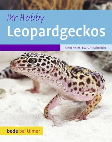 Stock image for Ihr Hobby Leopardgeckos for sale by medimops