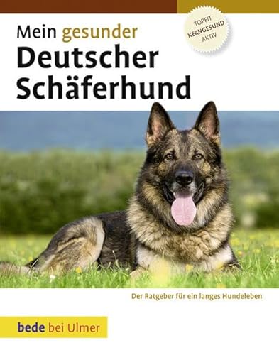Beispielbild fr Mein gesunder Deutscher Schferhund: Der Ratgeber fr ein langes Hundeleben zum Verkauf von medimops