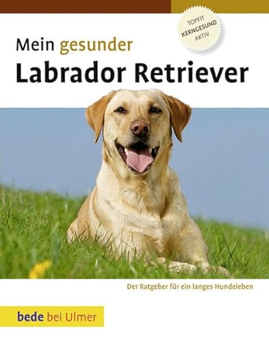 Beispielbild fr Mein gesunder Labrador Retriever zum Verkauf von medimops