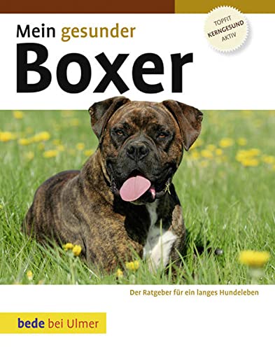 Beispielbild fr Mein gesunder Boxer: Der Ratgeber fr ein langes Hundeleben zum Verkauf von medimops