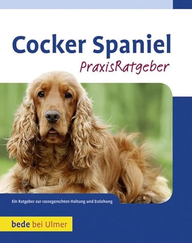 Beispielbild fr Cocker Spaniel zum Verkauf von medimops