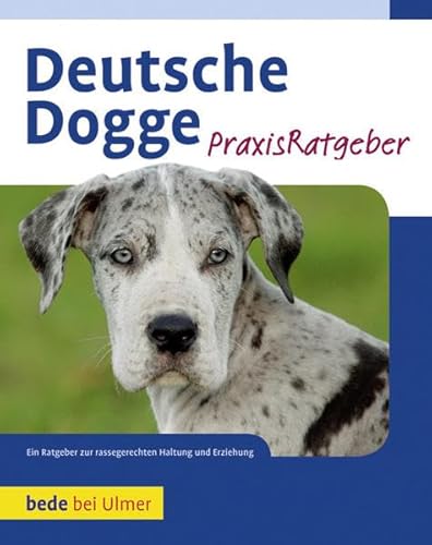 Stock image for Deutsche Dogge -Language: german for sale by GreatBookPrices