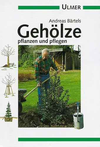 Stock image for Gehlze pflanzen und pflegen for sale by medimops