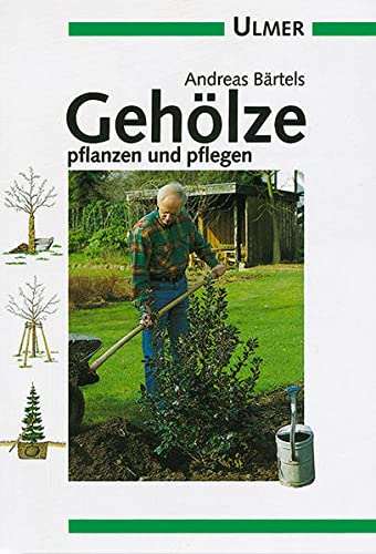 Stock image for Gehlze pflanzen und pflegen for sale by medimops