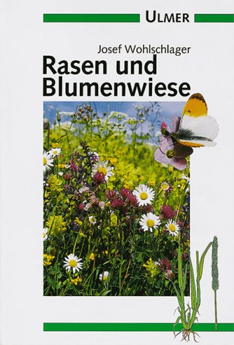 Stock image for Rasen und Blumenwiese for sale by medimops