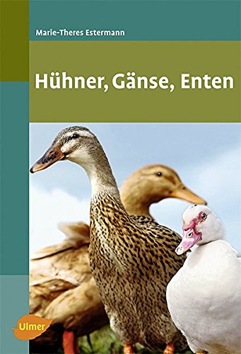 Beispielbild fr Hhner, Gnse, Enten zum Verkauf von medimops